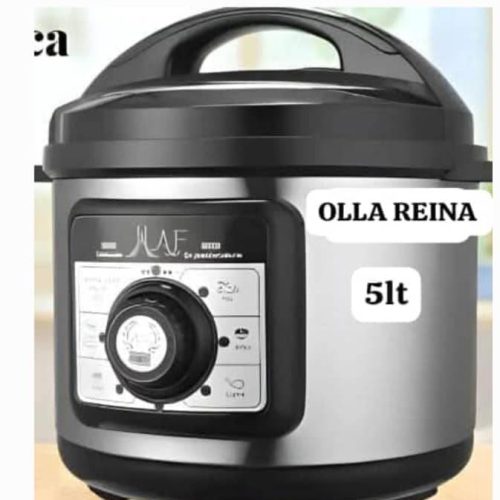 Olla de presión eléctrica multifuncional AAF 5L