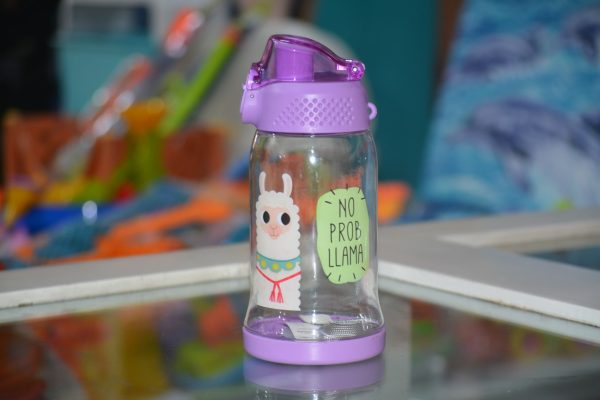 Botella de agua para niños, con un diseño de alpaca