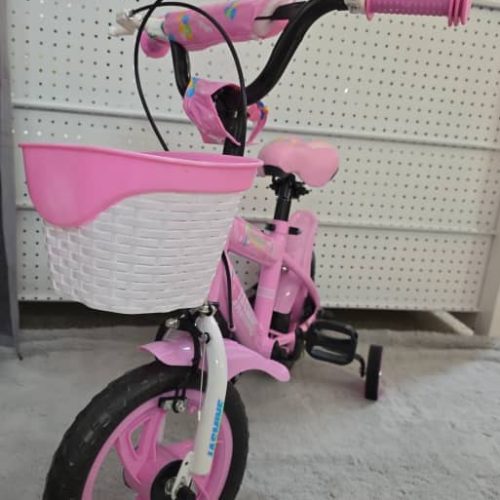 BIcicleta SPORT JAS-EV12123 R12 RS