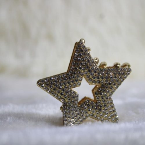 Pinza para cabello con diseño de estrella dorada