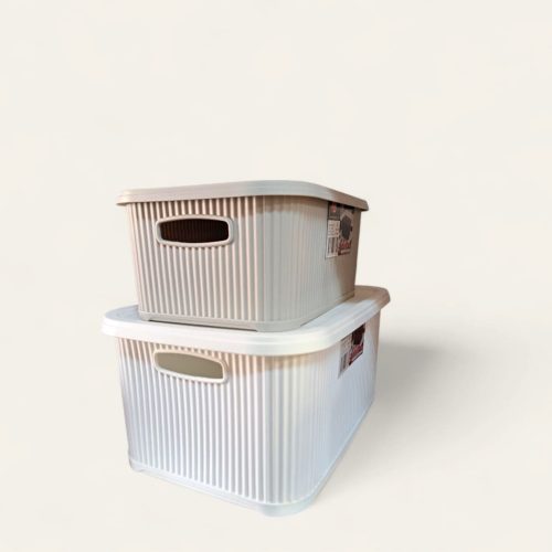 Cajas de plástico organizadoras